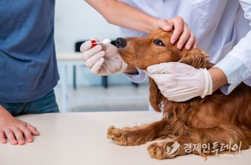 유한대학교 반려동물전공