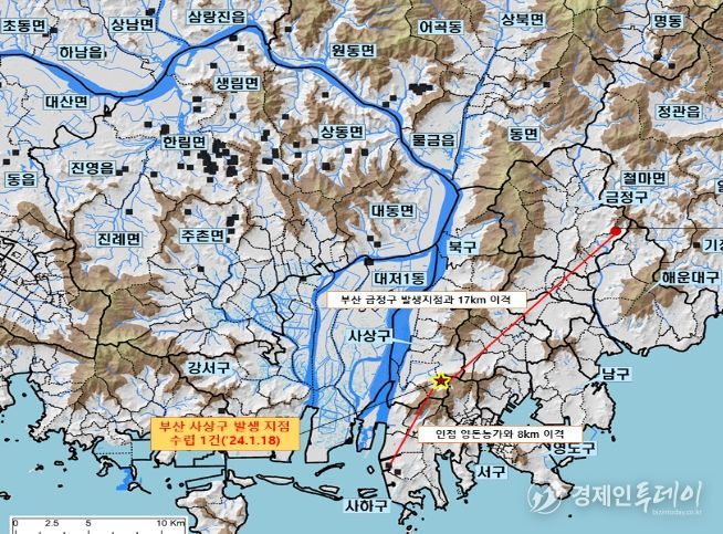 부산 사상구 야생멧돼지 아프리카돼지열병 발생지점 현황