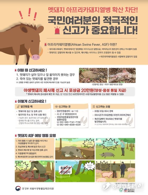 야생멧돼지 아프리카돼지열병(ASF) 폐사체 신고 홍보 자료