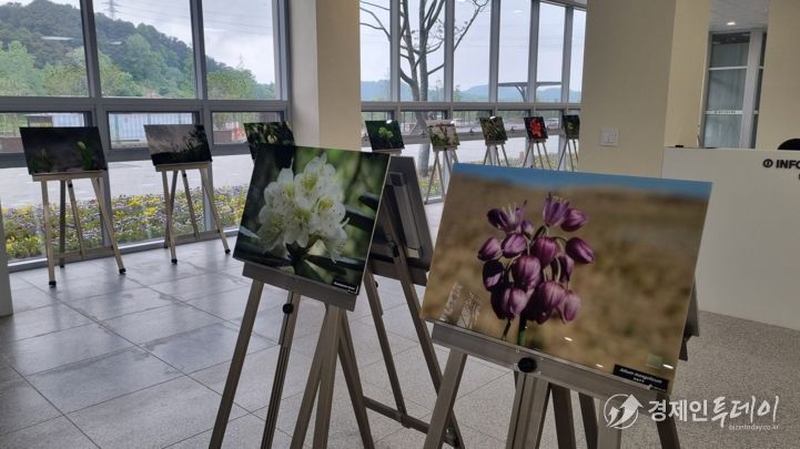 광주광역시 시립수목원 “희귀 야생화 사진 감상하세요”
