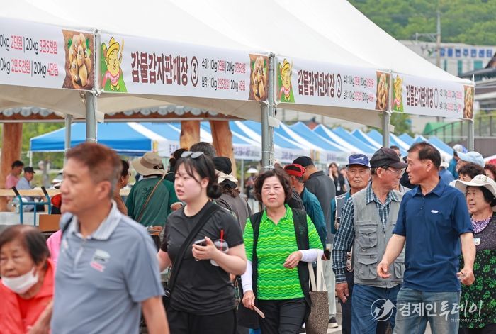 “감자에 반하고, 감물에 반한 3일”… 제14회 감물감자축제 성황리 종료