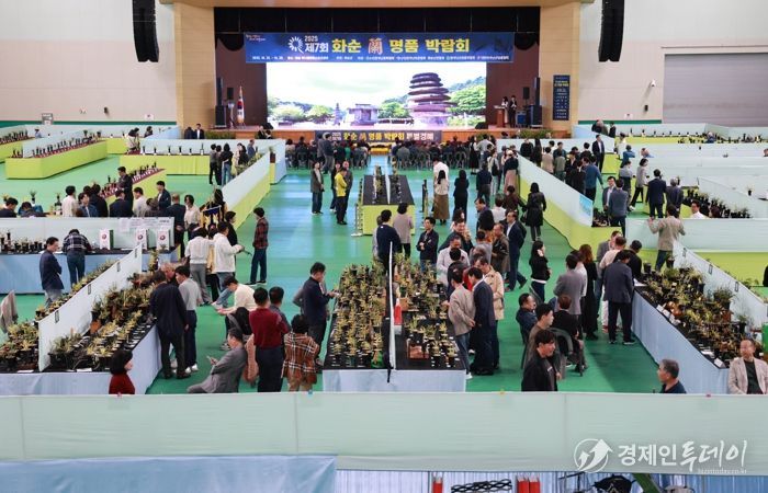 제7회 화순 난 명품 박람회 대상 호피반 ‘백호’