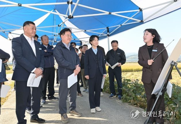 공주시 벼 수확·수매 현장 방문