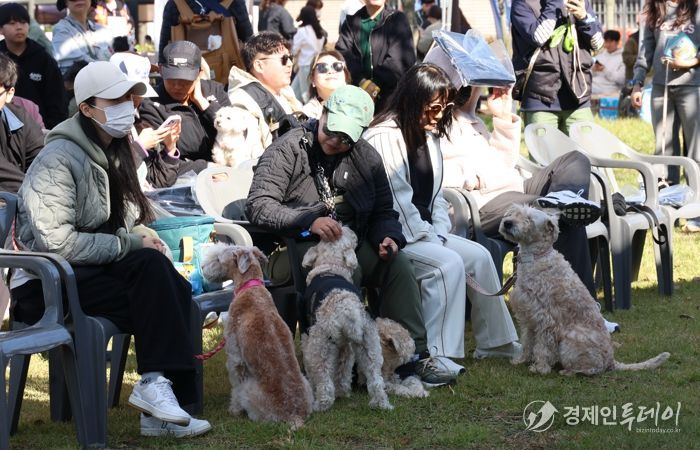 여러 종의 애견들이 주인들과 함께 휴식을 취하고 있다.