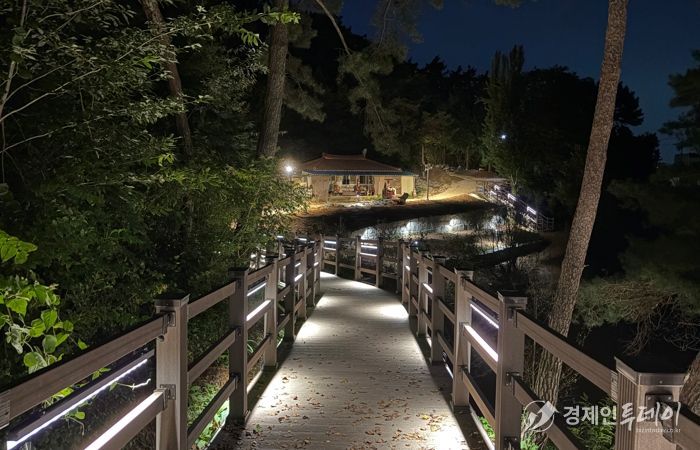 호가정 산책로 야경 사진