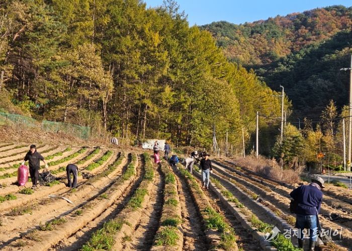 제천교육지원청“공감 동행”하반기 봉사활동 실시