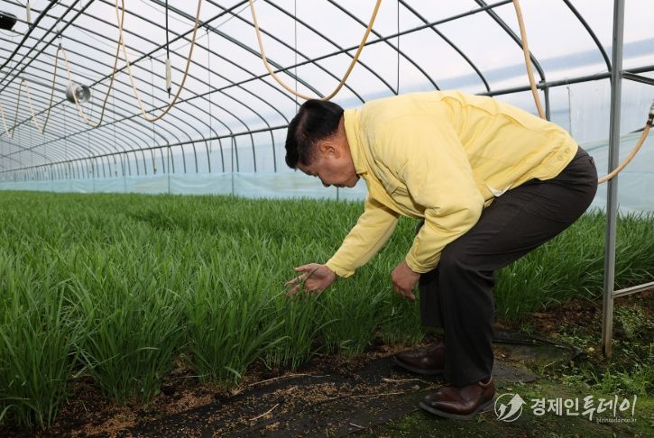 고성군수, 부추재배 농가 현장 찾아 농업인 격려