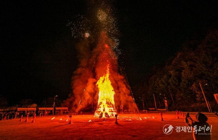 정선 민둥산은빛억새축제, 45일간 가을 향연 성황리에 마무리