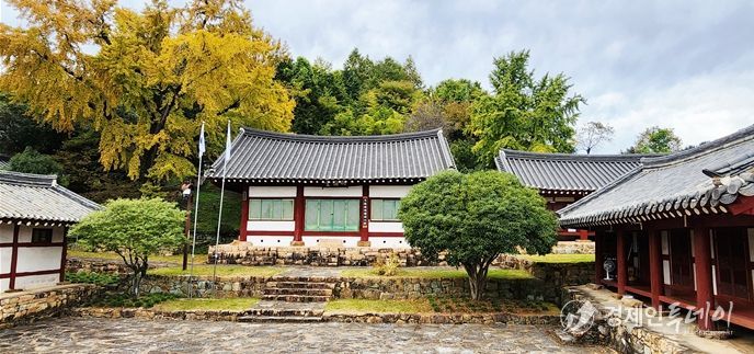 노란 은행잎 물드는 11월, 문학과 역사의 숨결 ‘이균영’을 찾아 - 관광과(故이균영 작가가 어린시절 뛰놀던 광양향교의 은행잎이 노랗게 물들었다)