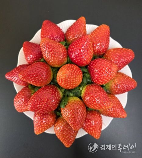 농기원, 신품종 미향 품종보호출원 완료