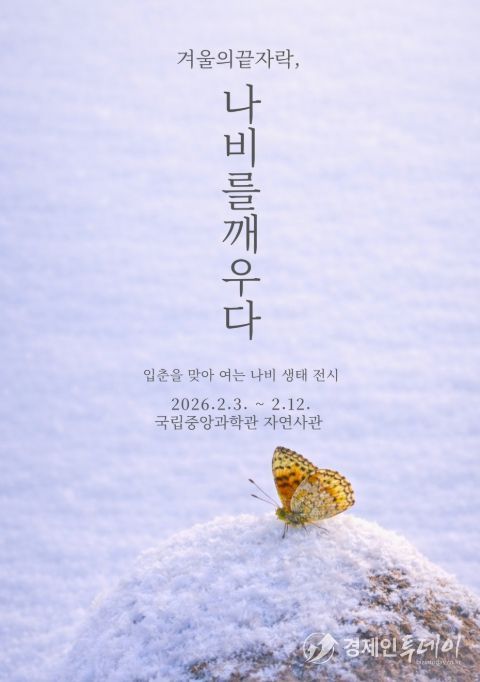 '겨울의 끝자락, 나비를 깨우다' 전시 포스터