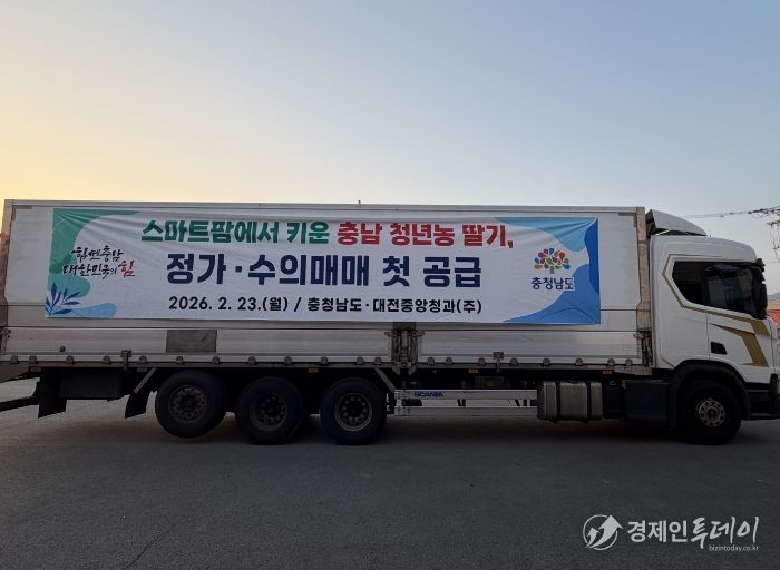 청년농 재배 딸기 1톤 정가·수의 매매 방식 시범 공급