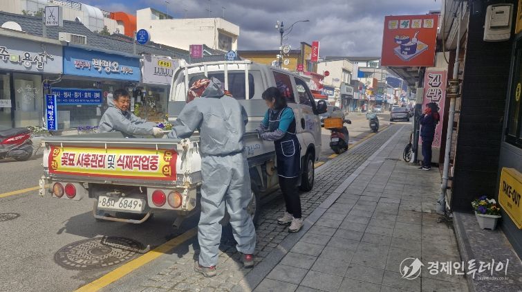 강진읍 일대 상가에 화분을 전달하고 있다.